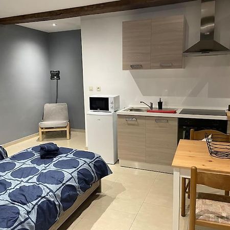 Studio Proche De L'Aeroport/Gare/Centre Ville Charleroi Zewnętrze zdjęcie